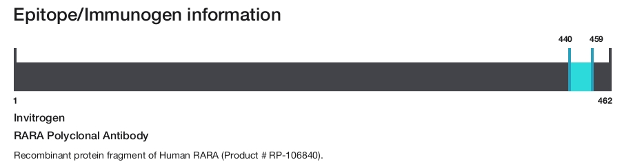 RARA Polyclonal Antibody
