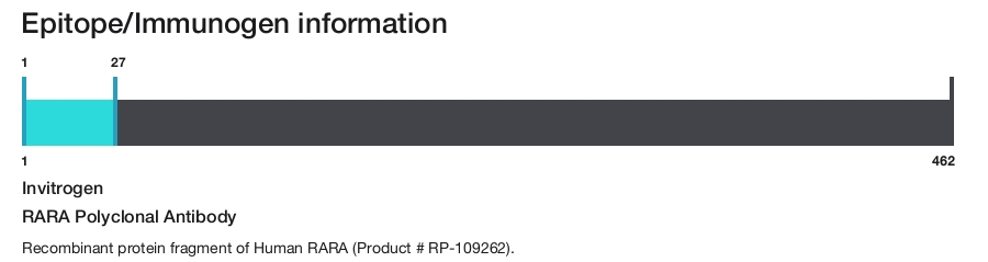 RARA Polyclonal Antibody