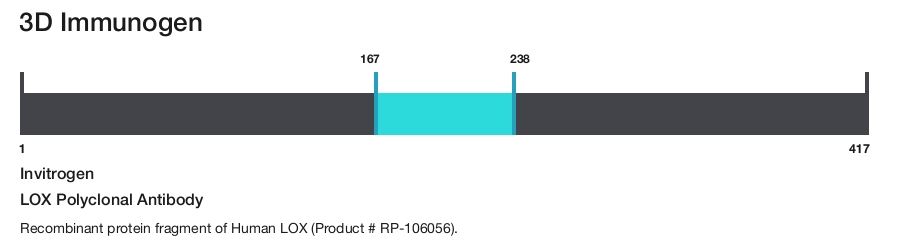 LOX Polyclonal Antibody