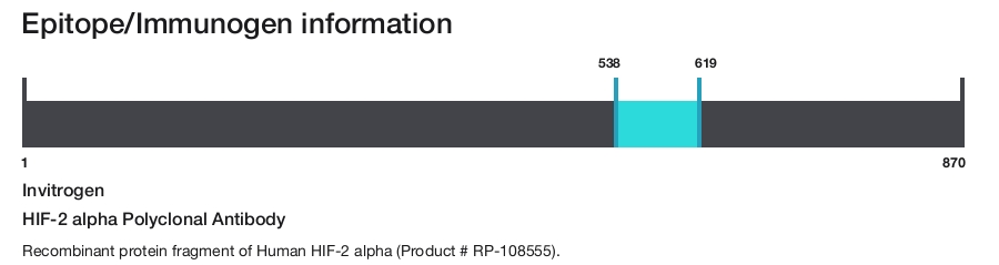 HIF-2 alpha Polyclonal Antibody