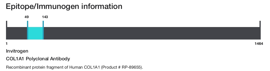 COL1A1 Polyclonal Antibody