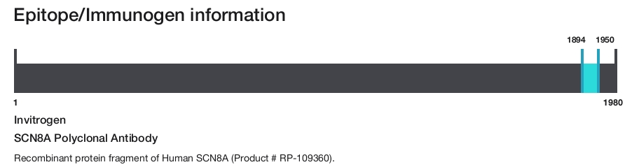 SCN8A Polyclonal Antibody