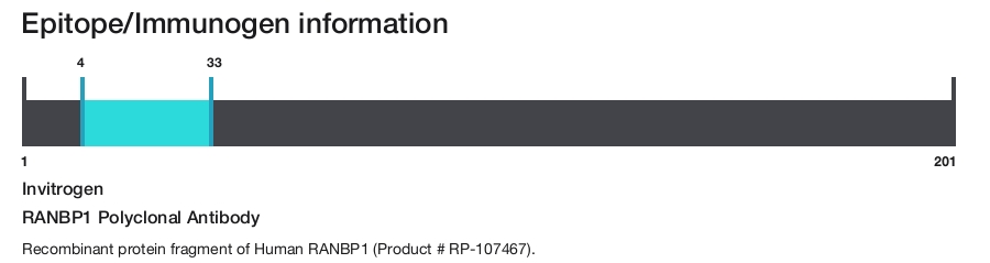 RANBP1 Polyclonal Antibody