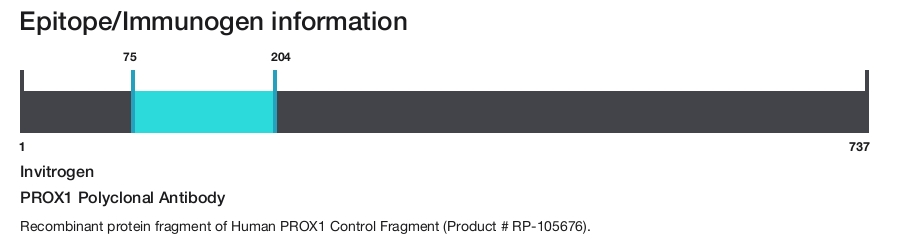 PROX1 Polyclonal Antibody