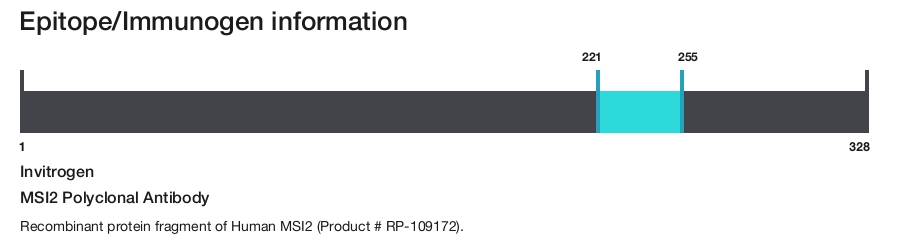MSI2 Polyclonal Antibody
