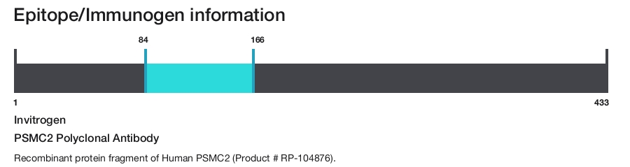 PSMC2 Polyclonal Antibody