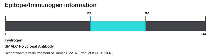 SMAD7 Polyclonal Antibody