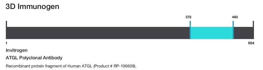 ATGL Polyclonal Antibody