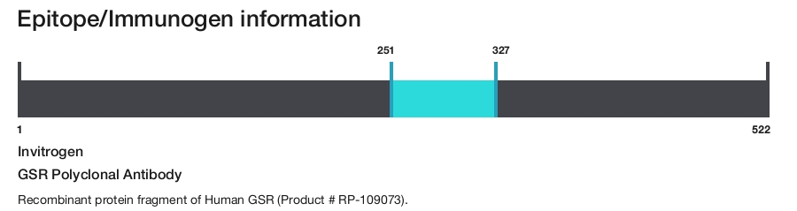 GSR Polyclonal Antibody