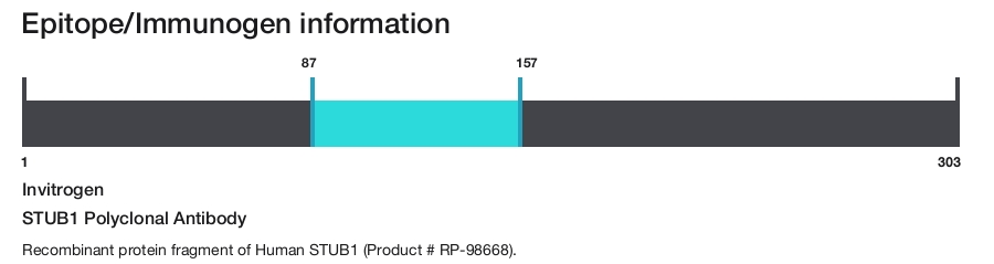 STUB1 Polyclonal Antibody