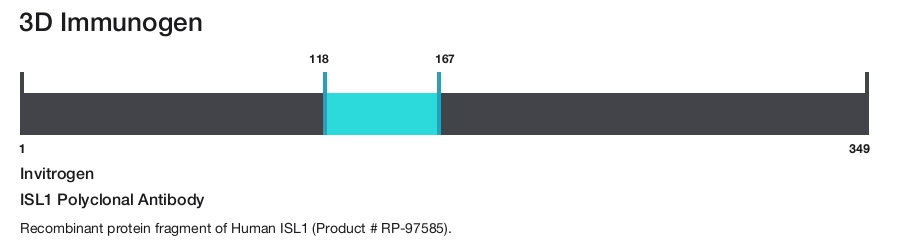 ISL1 Polyclonal Antibody