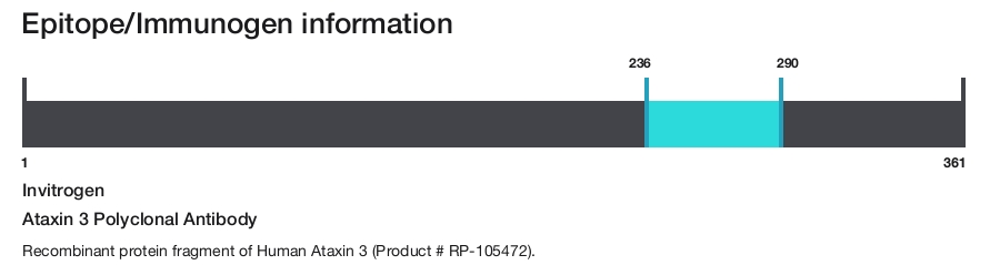 Ataxin 3 Polyclonal Antibody