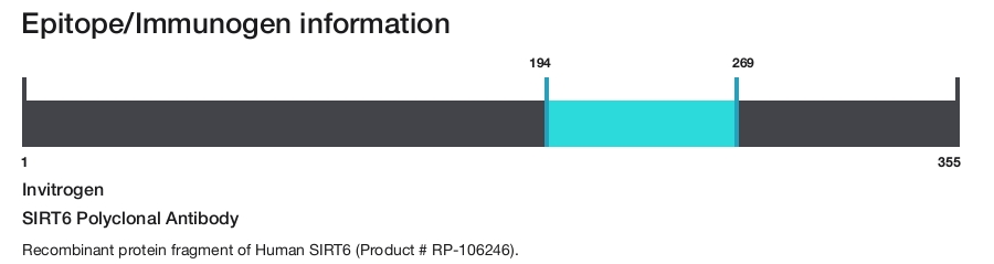 SIRT6 Polyclonal Antibody