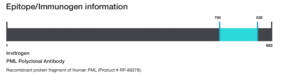 PML Polyclonal Antibody