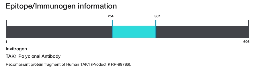 TAK1 Polyclonal Antibody