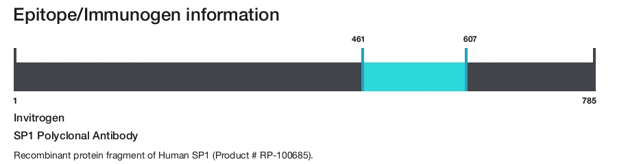 SP1 Polyclonal Antibody