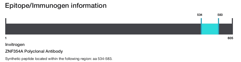 ZNF354A Polyclonal Antibody