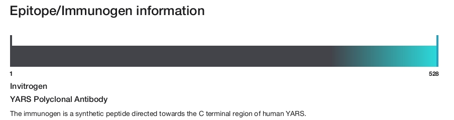 YARS Polyclonal Antibody
