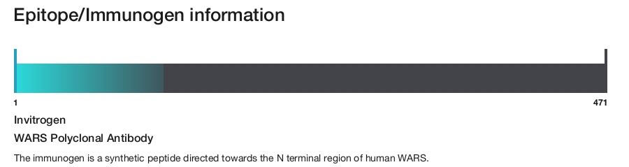 WARS Polyclonal Antibody