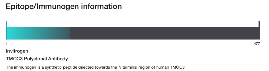 TMCC3 Polyclonal Antibody