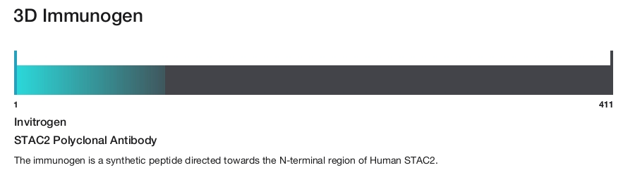 STAC2 Polyclonal Antibody