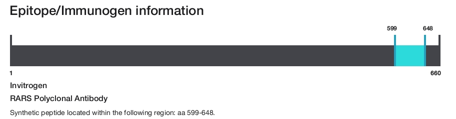 RARS Polyclonal Antibody