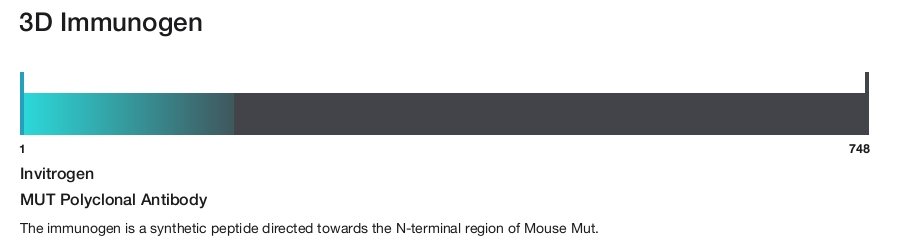 MUT Polyclonal Antibody