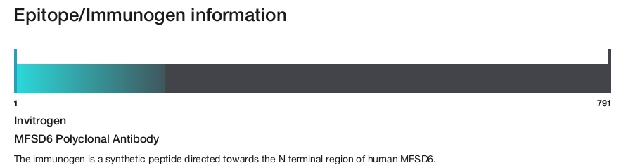 MFSD6 Polyclonal Antibody
