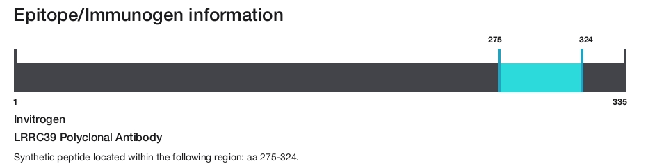LRRC39 Polyclonal Antibody