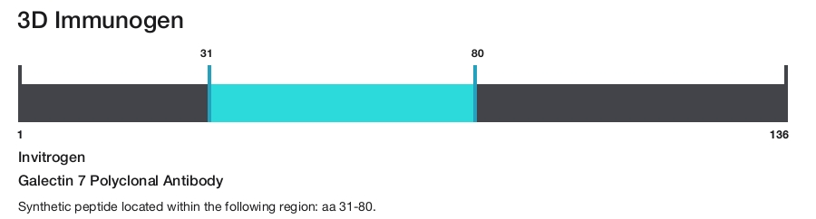 Galectin 7 Polyclonal Antibody