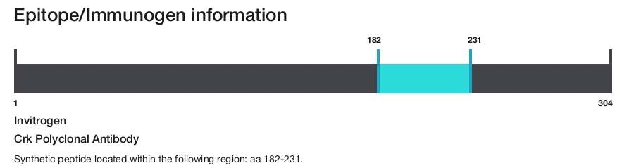 Crk Polyclonal Antibody