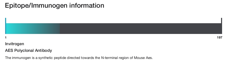 AES Polyclonal Antibody