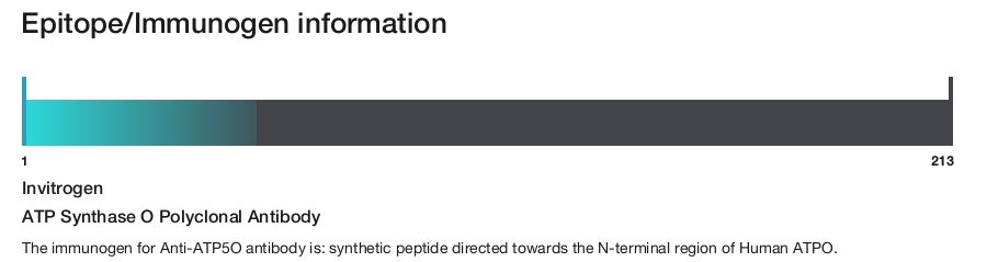 ATP Synthase O Polyclonal Antibody
