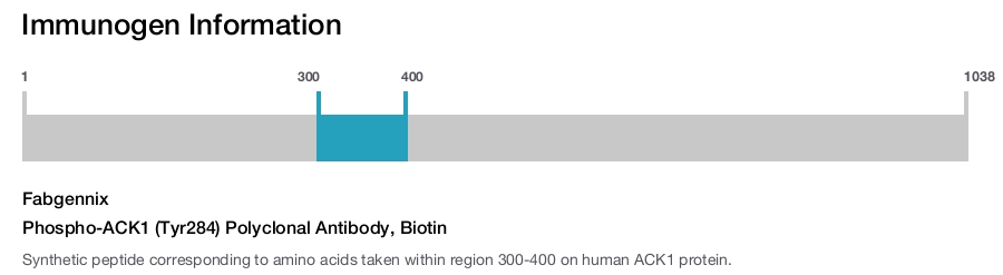 Phospho-ACK1 (Tyr284) Polyclonal Antibody, Biotin