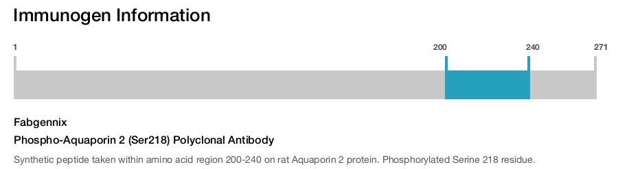 Phospho-Aquaporin 2 (Ser218) Polyclonal Antibody