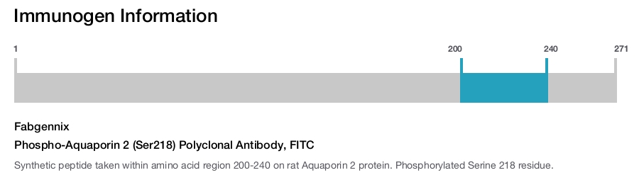 Phospho-Aquaporin 2 (Ser218) Polyclonal Antibody, FITC