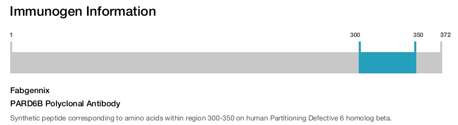 PARD6B Polyclonal Antibody