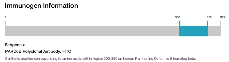PARD6B Polyclonal Antibody, FITC