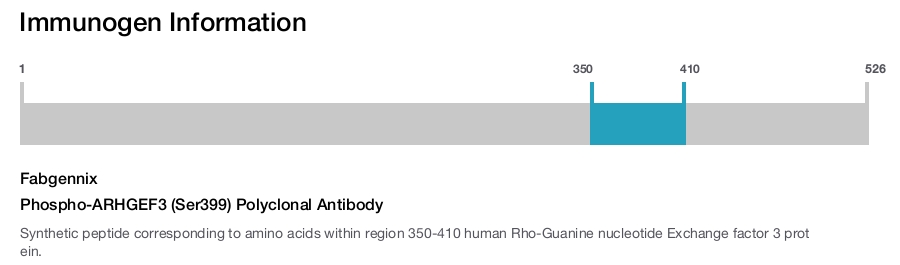 Phospho-ARHGEF3 (Ser399) Polyclonal Antibody