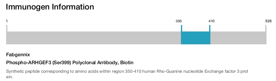 Phospho-ARHGEF3 (Ser399) Polyclonal Antibody, Biotin
