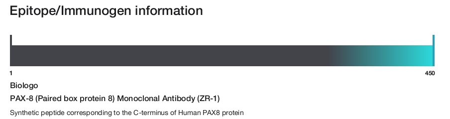 PAX-8 (Paired box protein 8) Monoclonal Antibody (ZR-1)