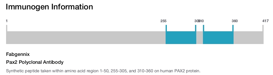 Pax2 Polyclonal Antibody