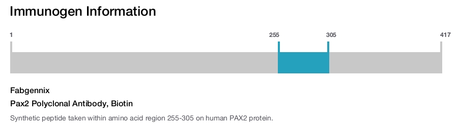 Pax2 Polyclonal Antibody, Biotin