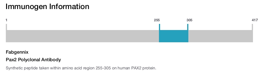 Pax2 Polyclonal Antibody