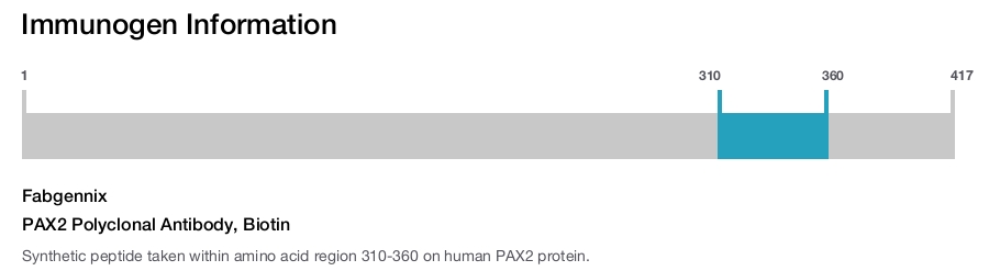 PAX2 Polyclonal Antibody, Biotin