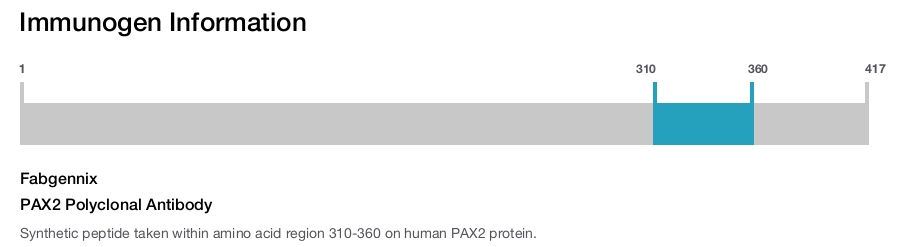 PAX2 Polyclonal Antibody