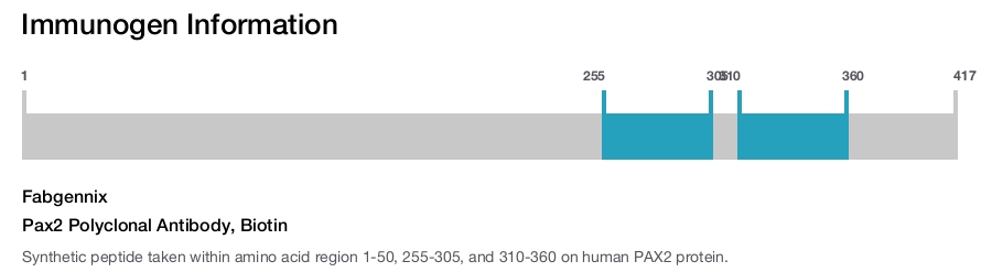 Pax2 Polyclonal Antibody, Biotin
