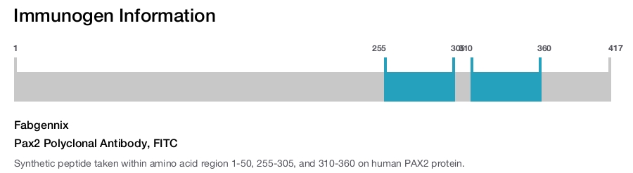 Pax2 Polyclonal Antibody, FITC