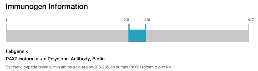 PAX2 isoform a + e Polyclonal Antibody, Biotin