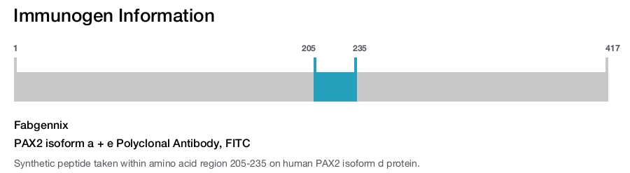 PAX2 isoform a + e Polyclonal Antibody, FITC